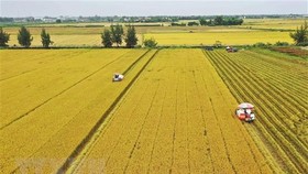Ban hành Nghị quyết kéo dài thời hạn miễn thuế sử dụng đất nông nghiệp