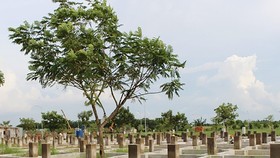 Một góc dự án khu dân cư Nhơn Đức, huyện Nhà Bè. Ảnh: AX