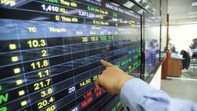 VN Index gãy mốc 800 điểm