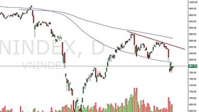 VNIndex thể hiện rằng thị trường đã đạt đỉnh trước khi kết quả kinh doanh quý II được công bố. Các thông tin này sau đó đã không đủ sức nâng đỡ thị trường tránh khỏi tác động từ sự bùng phát trở lại của dịch Covid-19.