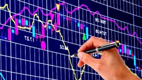 KQKD quý II của DNNY không quá tiêu cực