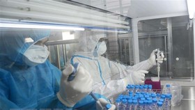 Nhân viên phòng xét nghiệm (CDC Đà Nẵng) tiến hành xét nghiệm. (Ảnh: Văn Dũng/TTXVN)
