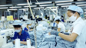 DN được tự chứng nhận xuất xứ hàng hóa khi xuất khẩu vào EU