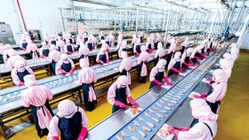 Chống và kiểm soát dịch bệnh vẫn là ưu tiên hàng đầu, nhưng phải hạn chế thấp nhất sự suy giảm và phá sản doanh nghiệp.
