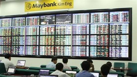 Giao dịch chứng khoán tại sàn Maybank KIM ENG (Thành phố Hồ Chí Minh). (Ảnh: Hoàng Hải/TTXVN)
