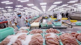 Chế biến cá tra xuất khẩu. (Ảnh: Danh Lam/TTXVN)