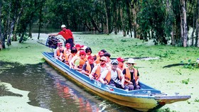 Rừng tràm Trà Sư - điểm du lịch hấp dẫn ở An Giang. Ảnh: Sao Mai