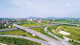 Ảnh minh họa.