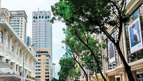 Đường Đồng Khởi TPHCM có giá thị trường hàng tỷ đồng/m2, nhưng khung giá đất chỉ 162 triệu đồng/m2, nếu được phép nhân lên 30% hay áp dụng hệ số K giá đất cũng chỉ 442 triệu đồng/m2.