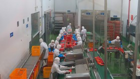 Để hiện thực hóa những cơ hội lớn mà EVFTA mang lại, các doanh nghiệp cần có hiểu biết chính xác, đầy đủ.
