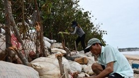 Người dân tham gia chằng chống khu vực ven biển trước bão số 9. (Ảnh: TTXVN phát)