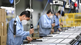 Doanh nghiệp chỉ có thể hoá rồng khi có sự trợ lực từ nhà nước
