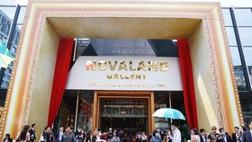 Novaland Gallery tại 179 Hai Bà Trưng, phường 6, quận 3, đã chính thức khai trương từ 19-11