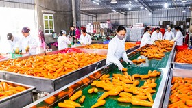 Lo ngại gia tăng nhập siêu từ RCEP