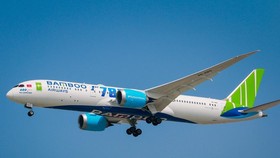 Bamboo Airways đã chịu thiệt hại nặng nề về doanh thu do ảnh hưởng của dịch COVID-19. (Ảnh: CTV/Vietnam+)