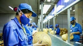 Hỗ trợ doanh nghiệp nâng sức đề kháng