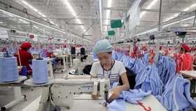 Doanh ngiệp thành lập mới và hoạt động trở lại chuyển biến tích cực
