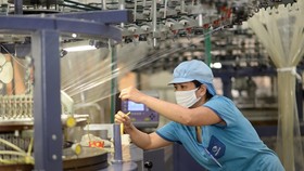 Sau 11 tháng, xuất khẩu nhóm công nghiệp chế biến đem về 216,35 tỷ USD. (Ảnh: Đức Duy/Vietnam+)