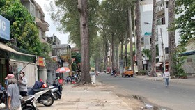 Lượng phương tiện giao thông giảm 60% trong thời gian cách ly xã hội