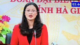 ĐB Vương Ngọc Hà (Hà Giang) phát biểu tại phiên họp.