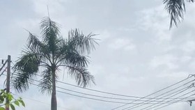 Người đàn ông nghi ngáo đá leo lên xe tải. Ảnh: VIẾT PHÓNG