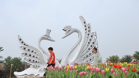 Dịp Tết thưởng thức “Bản giao hưởng mùa xuân” lung linh tại Ecopark