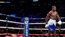 Kauffman từng bị King Kong đấm knock-out, nhưng anh không được thua trong trận đấu này