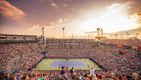 WTA Rogers Cup 2020 bị hủy