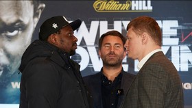Nếu đánh bại Povetkin, không có lý do gì để WBC hay Fury từ chối Whyte nữa