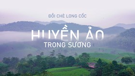 Đồi chè Long Cốc đẹp huyền ảo trong sương mờ