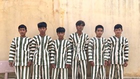 Vào khu bảo tồn “xẻ thịt” gỗ cổ thụ, 7 lâm tặc bị khởi tố