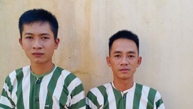 Vụ cưa hạ hơn 103m3 gỗ ở Gia Lai: Thêm 2 đối tượng đầu thú