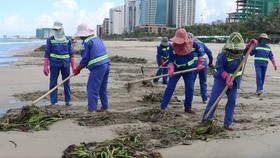 Đà Nẵng thu gom hơn 1.300 tấn rác phát sinh do bão số 5