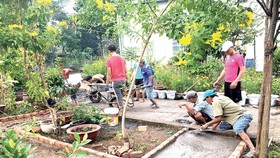 Năm 2020: Ban hành tiêu chí xây dựng TPHCM sạch và xanh
