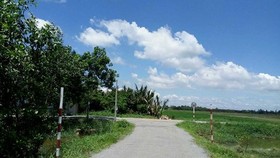 Kiến nghị điều chỉnh chức năng quy hoạch khu đất 384,2ha tại huyện Hóc Môn