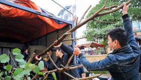 Ra mắt bộ ảnh phóng sự Chuyện ngày xám