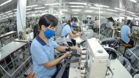 Nhiều doanh nghiệp may cho công nhân làm cách nhật để duy trì hoạt động sản xuất. Ảnh: CAO THĂNG