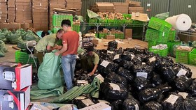 Phát hiện 9.600 vụ hàng hóa vi phạm pháp luật