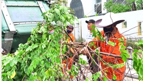 Khắc phục hậu quả bão số 5