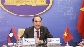 Thứ trưởng Bộ Ngoại giao Việt Nam Nguyễn Quốc Dũng phát biểu tại điểm cầu Hà Nội. Ảnh: TTXVN