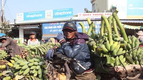 Nụ cười của nông dân vì chuối vừa được mùa vừa bán được giá cao.