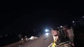 Xe máy tông bò thả rông trên quốc lộ, 2 người thương vong