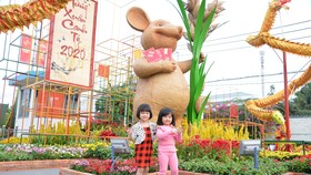 Khai mạc hội hoa xuân phục vụ bà con ngoại thành