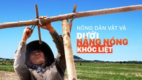 Nông dân vật vã dưới nắng nóng khốc liệt