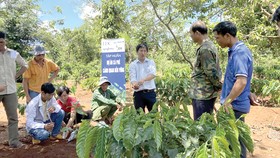 Syngenta cam kết đầu tư 2 tỷ USD vào nông nghiệp bền vững