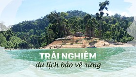 Trải nghiệm du lịch bảo vệ rừng