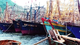 Bao giờ PJICO mới bán được bảo hiểm cho ngư dân?