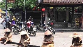 Làm rõ hành vi tụ tập hoá trang thành “ăn xin” tại Hội An