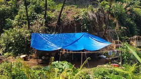 Lán trại một điểm khai thác vàng trên địa bàn huyện Phước Sơn. Ảnh: CQĐT