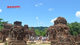 Đầu tư hơn 96 tỷ đồng cho dự án bảo vệ phục hồi sinh thái rừng Mỹ Sơn